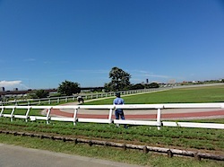 201007200204.jpg