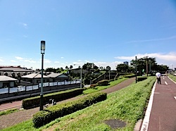 201007200210.jpg